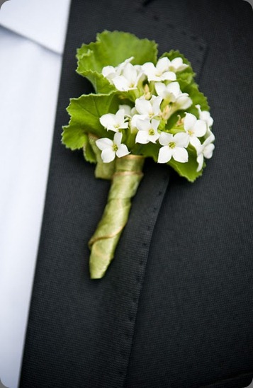 07 white kalanchoe and scented geranium bloom floral design blogspot 07 white kalanchoe and scented geranium bloom floral design blogspot