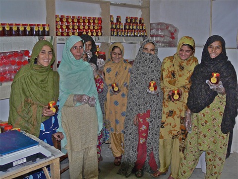 Rebuilding Plan Bee after the foods_Women Empowerment Honey Bee Farming_Gilgit (33)