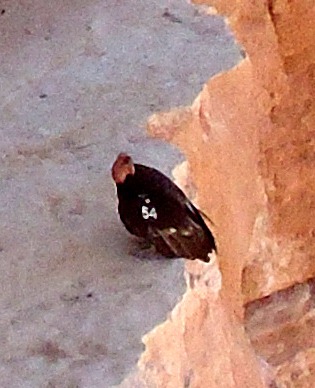 [DSC04118_edited-1%255B4%255D.jpg]