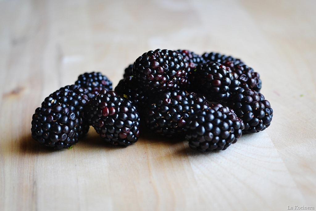 [blackberries5.jpg]