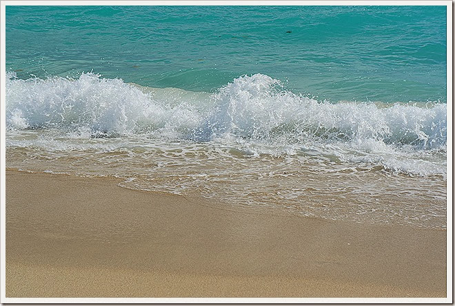 sea-public-domain-pictures-(890) sea-public-domain-pictures-(890)