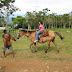 Horseback riding in Eden Horseback riding in Eden