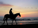 Sprachaufenthalt Puerto Vallarta