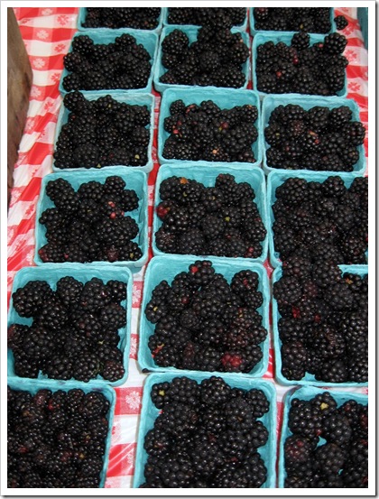blackberries