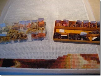 IMG_7082 IMG_7082