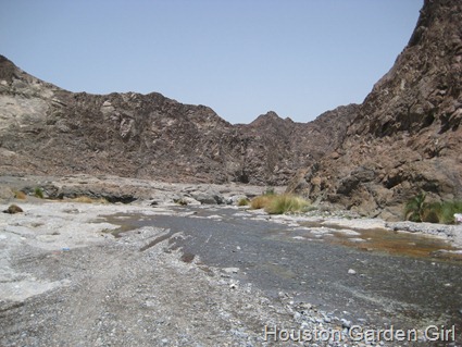 [IMG_2812%255B6%255D.jpg]