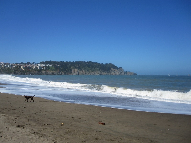 [IMG_1239%2520%2528800x600%2529%255B3%255D.jpg]