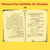 Manuscritos Califales (30)