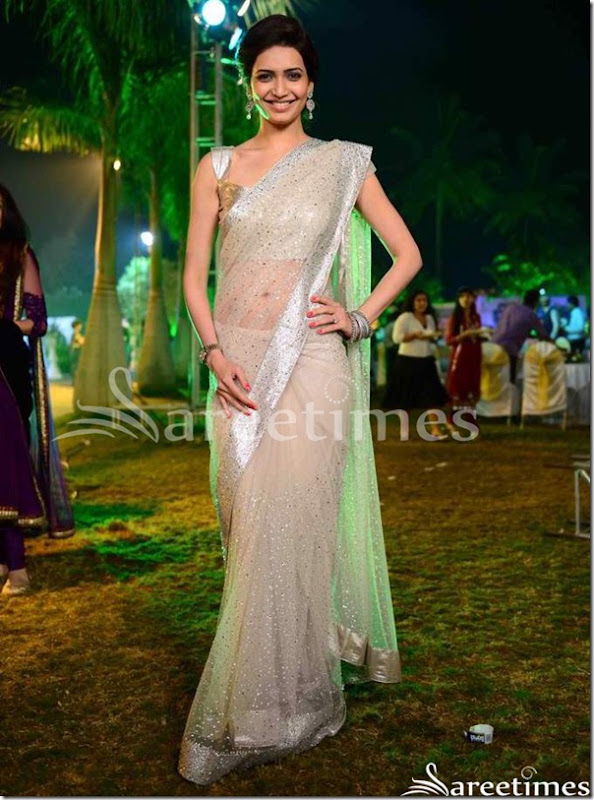 Embroidery_Shimmer_Saree