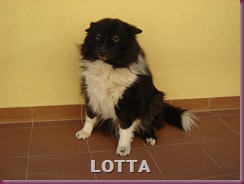 lotta y glam 001 lotta y glam 001