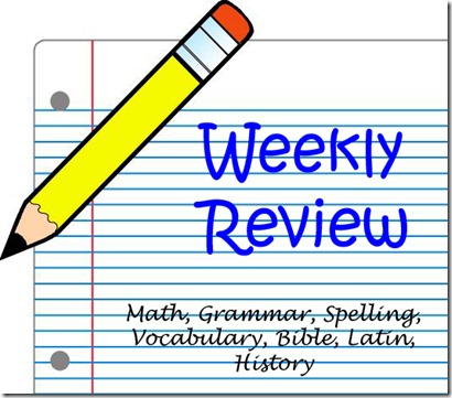 weekly review graphic 2