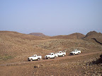 Jeeps on a safari Jeeps on a safari