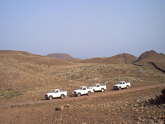 Jeeps on a safari