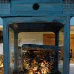1546-1.jpg 1546-1.jpg
