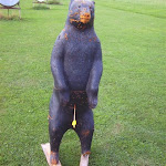 BILD4155.JPG
