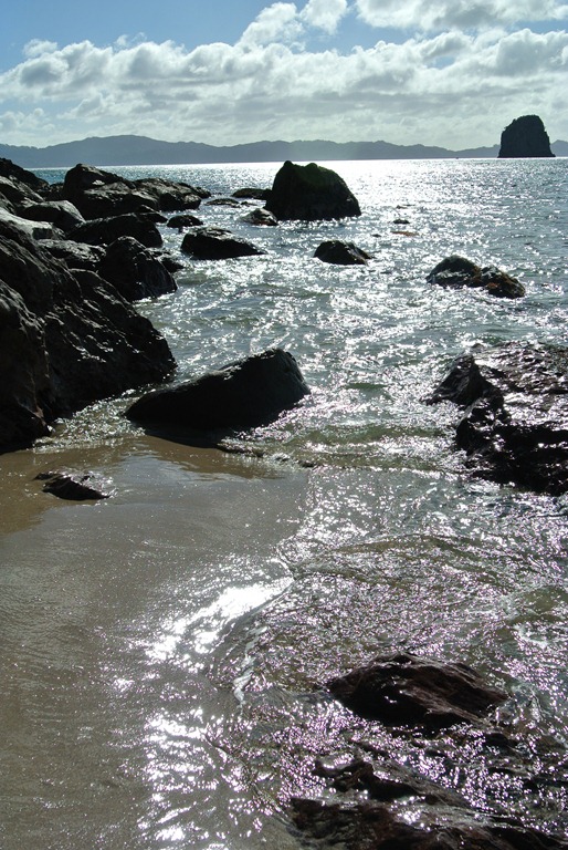 [DSC_13343.jpg]