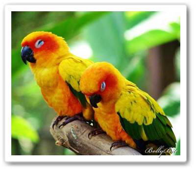 Image Dimension: 400x349 :: Have you ever thought about them? Have you ever thought about them?