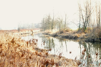 DSC_0887.jpg DSC 0887