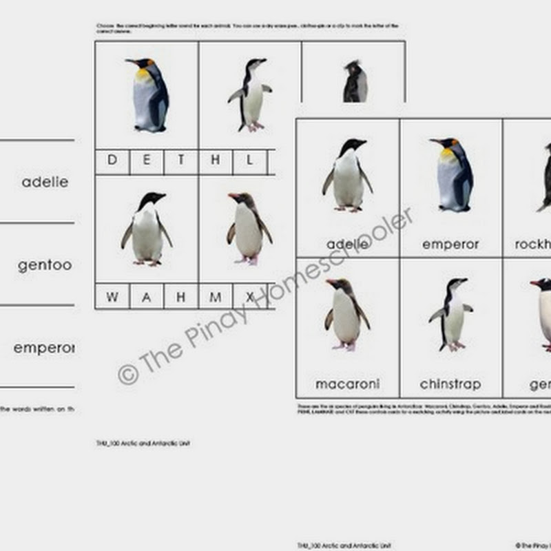 The Arctic and Antarctic Printable Pack | The Pinay Homeschooler