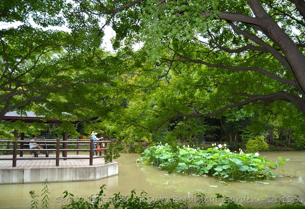 Glória Ishizaka -   Kyoto Botanical Garden 2012 - 32