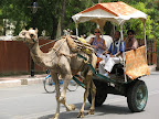 IMG_6765.JPG