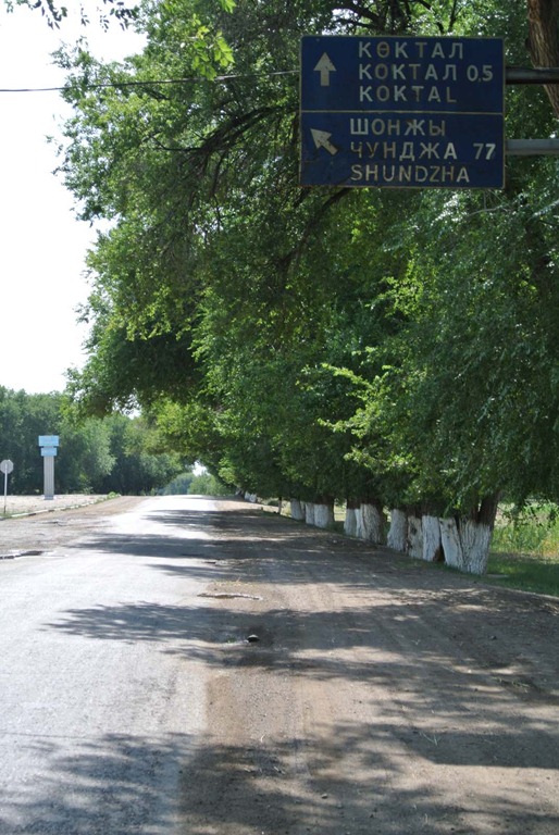 [DSC_5033%255B5%255D.jpg]