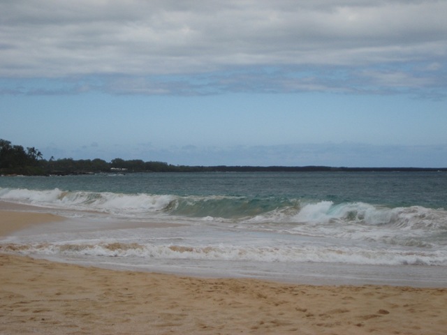 [IMG_2658%255B3%255D.jpg]