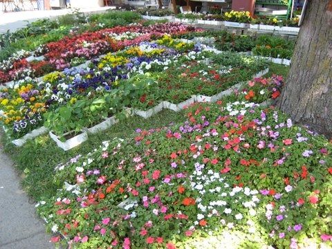 [IMG_1866%255B4%255D.jpg]