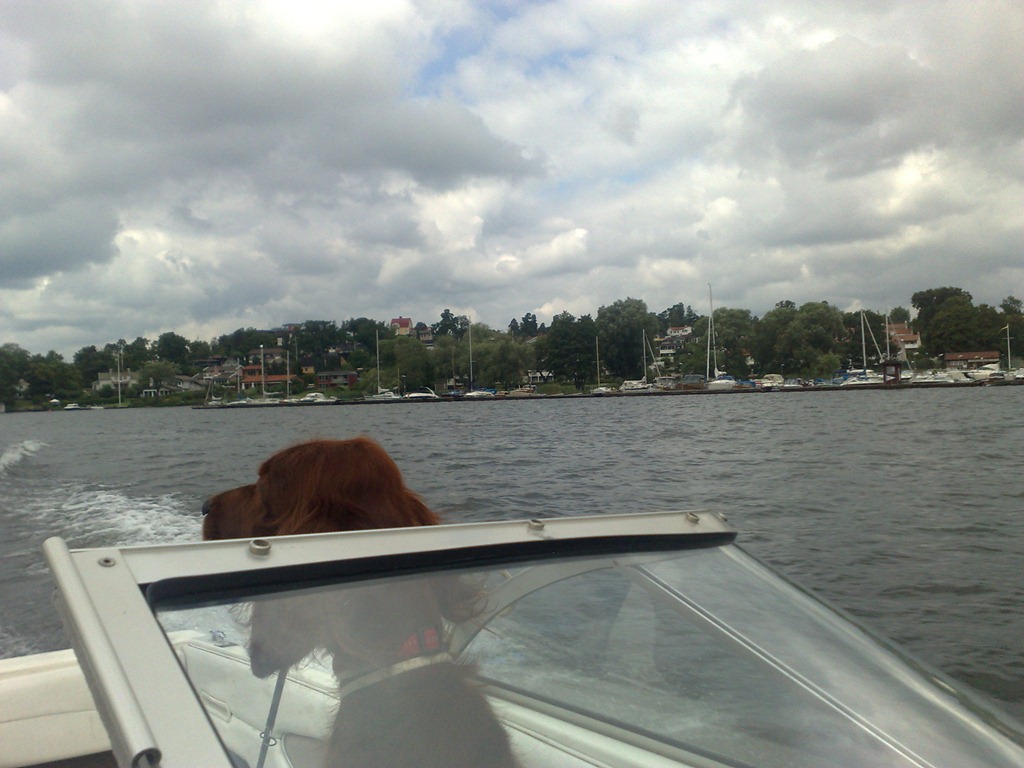 [Bild336%255B3%255D.jpg]