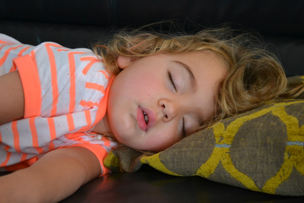 [DSC_1348%255B5%255D.jpg]