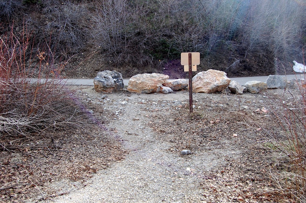 [may2011lambscanyon483.jpg]
