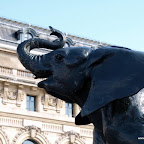 20100404_117.JPG