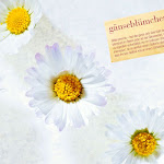 BluetenPostkarte_005.jpg