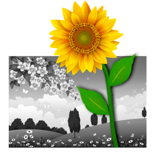 color or recolor photo effects color or recolor photo effects