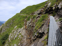 CIMG3454.JPG Photo