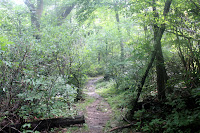 IMG_2109.JPG Photo