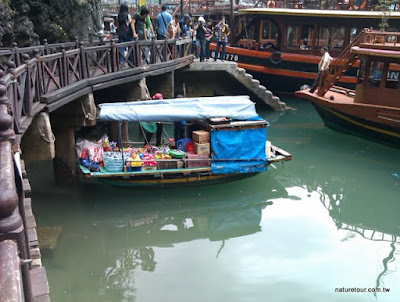 IMAG0181.jpg