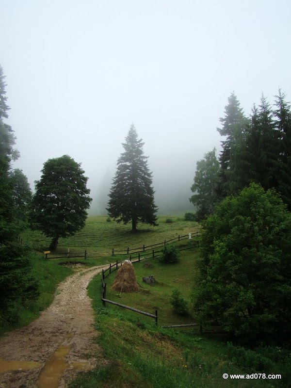 93.jpg