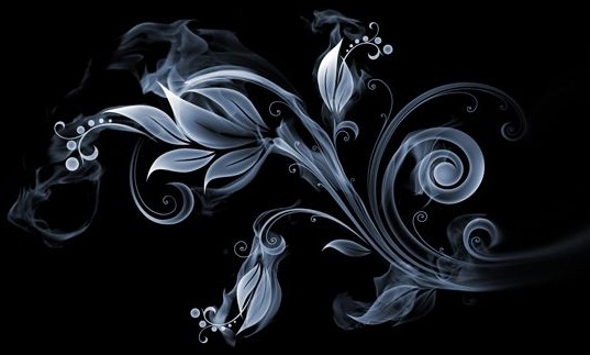 [flower%255B8%255D.jpg]