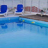 Terrazza-solarium 5 piano / 5 Floor