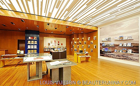 Louis Vuitton City Guide by Ruben Toledo