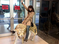 IMG_20111119_154844