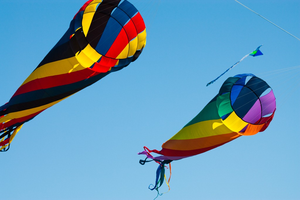 [20110611-IMG_06384.jpg]