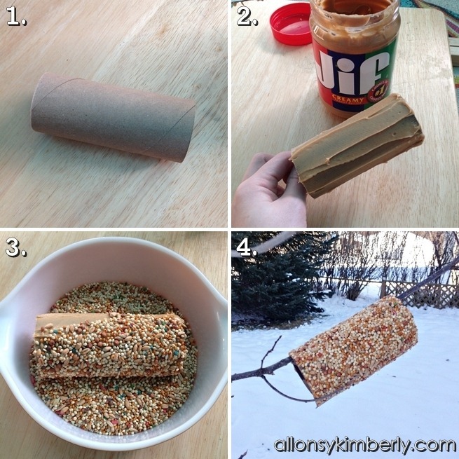 Cheap & Easy DIY Bird Feeder
