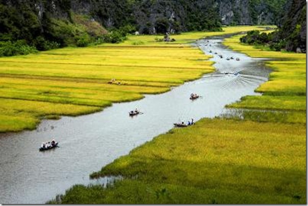 mekong delta