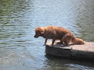 IMG_2612.JPG