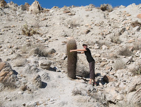 Linda gets close to a cool barrel cactus.