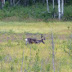 P1130767