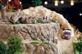 Citroen-DS3-Rally-8 Citroen-DS3-Rally-8