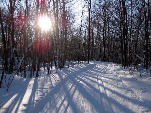 February sun shining on Sap Run Tuesday afternoon